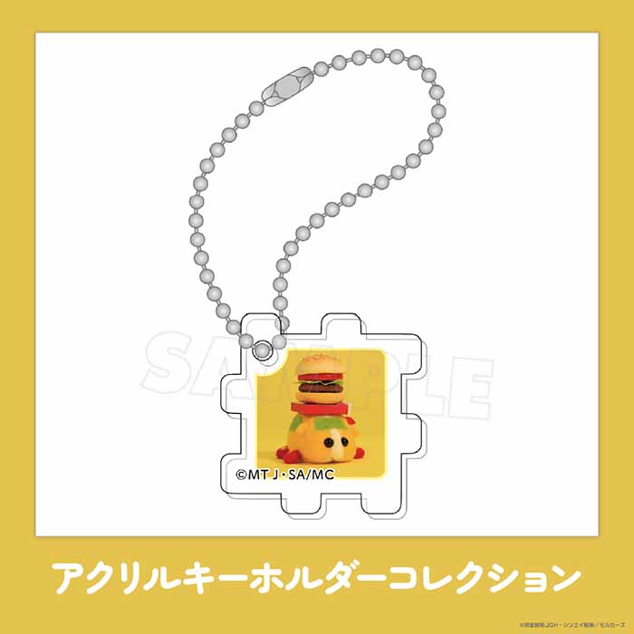 PUI PUI モルカー × SUNSHINE SAKAE