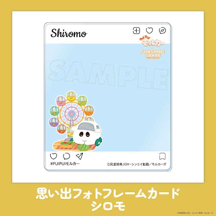 PUI PUI モルカー × SUNSHINE SAKAE