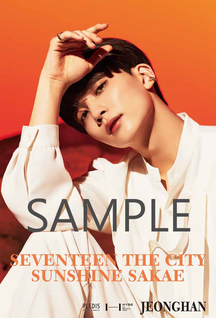 SEVENTEEN　ディエイト　クリアポスター　クリアファイル　THE8 SEVENTEEN ディエイト クリアポスター クリアファイル THE8