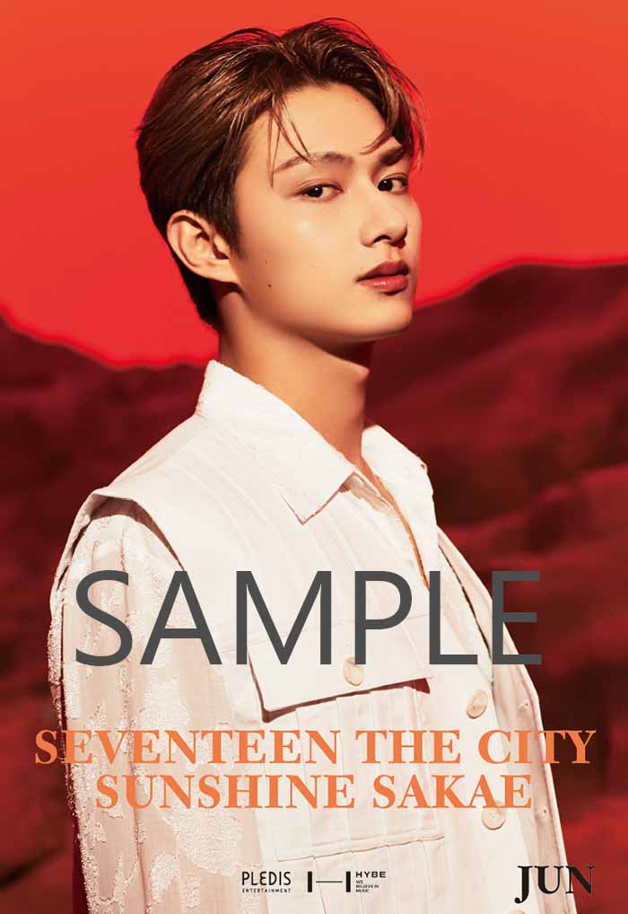 SEVENTEEN ジュン キッチンカー 名古屋 the city 特典 名古屋名物みそかつ 矢場とん - SEVENTEEN [RIGHT HERE] THE CITY 矢場