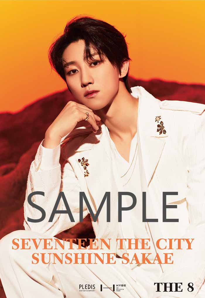 アイドル SEVENTEEN BETHESUN CITY THE8 SEVENTEEN THE CITY SUNSHINE SAKAE