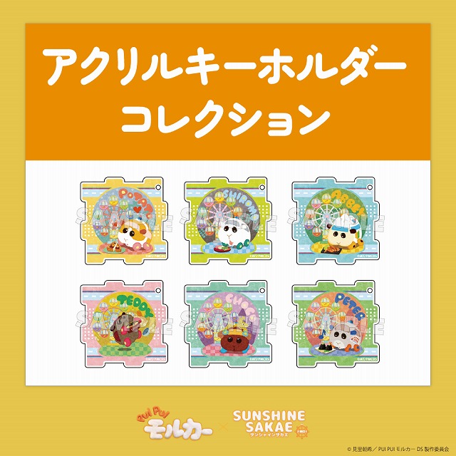 PUI PUI モルカー × SUNSHINE SAKAE2周目！